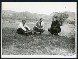 image 14